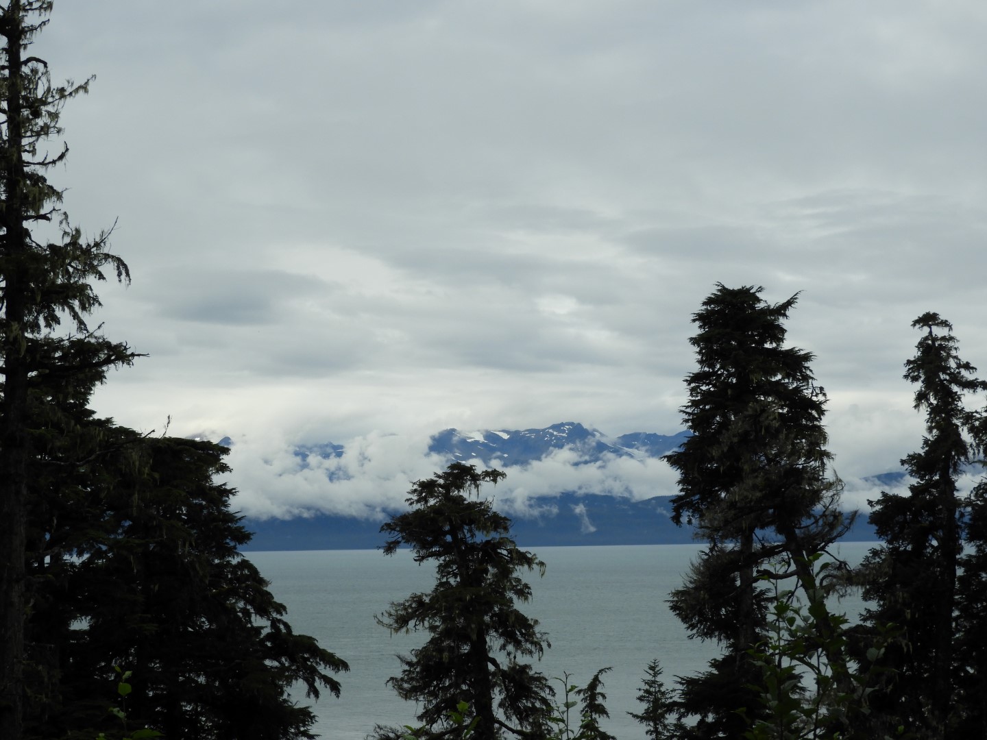 Western Glacier Highway in Juneau AK  7 of 14 (#1442)