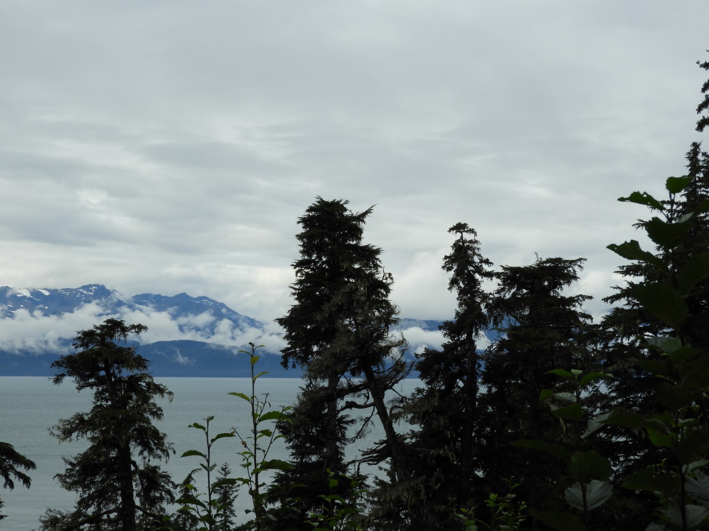 Western Glacier Highway in Juneau AK  8 of 14 (#1443)