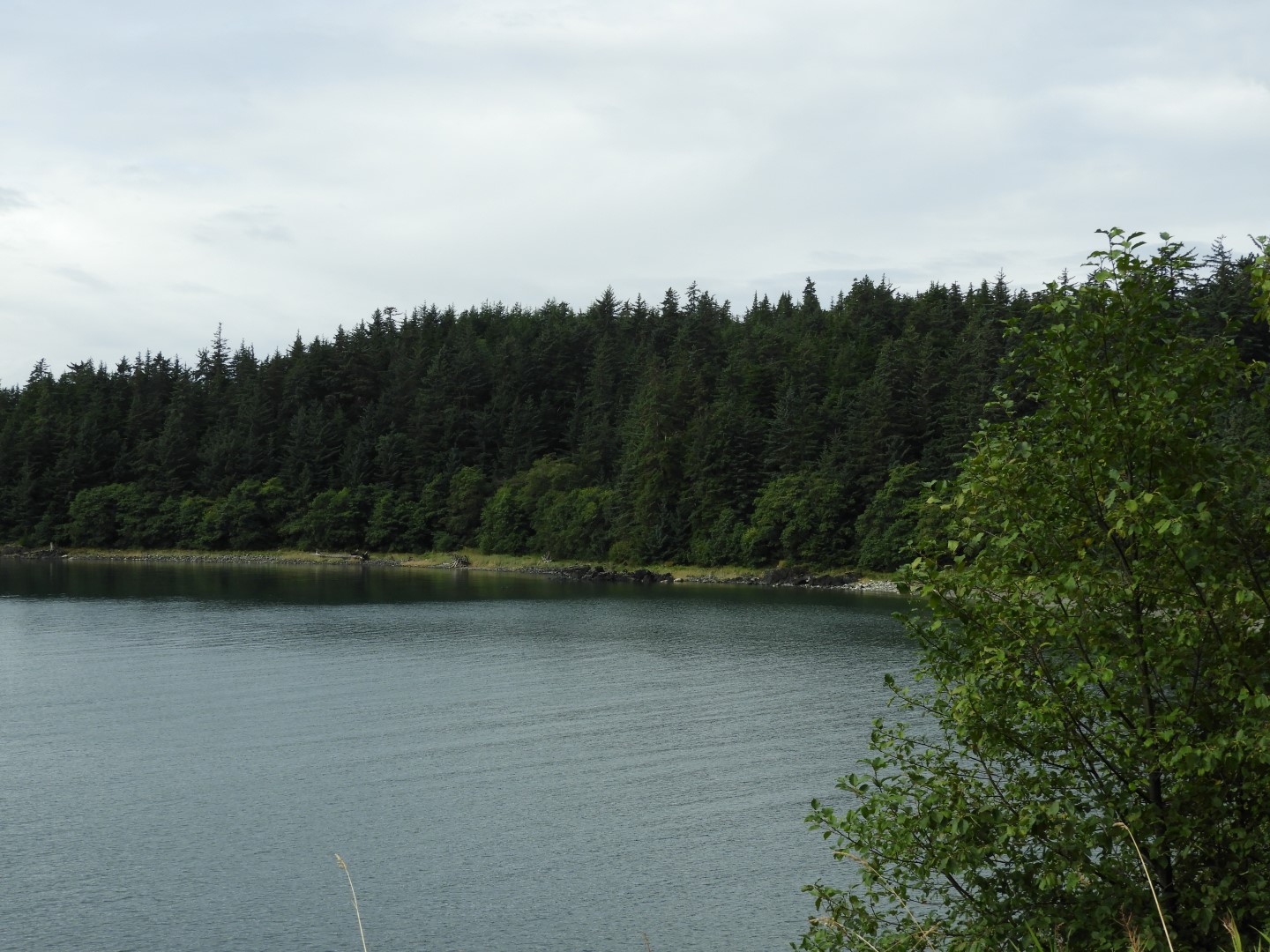 Western Glacier Highway in Juneau AK 12 of 14 (#1447)