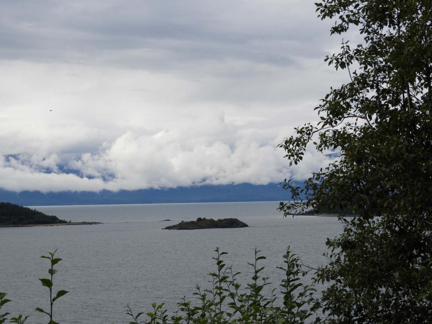 Eagle Beach in Juneau AK  1 of 24 (#1451)
