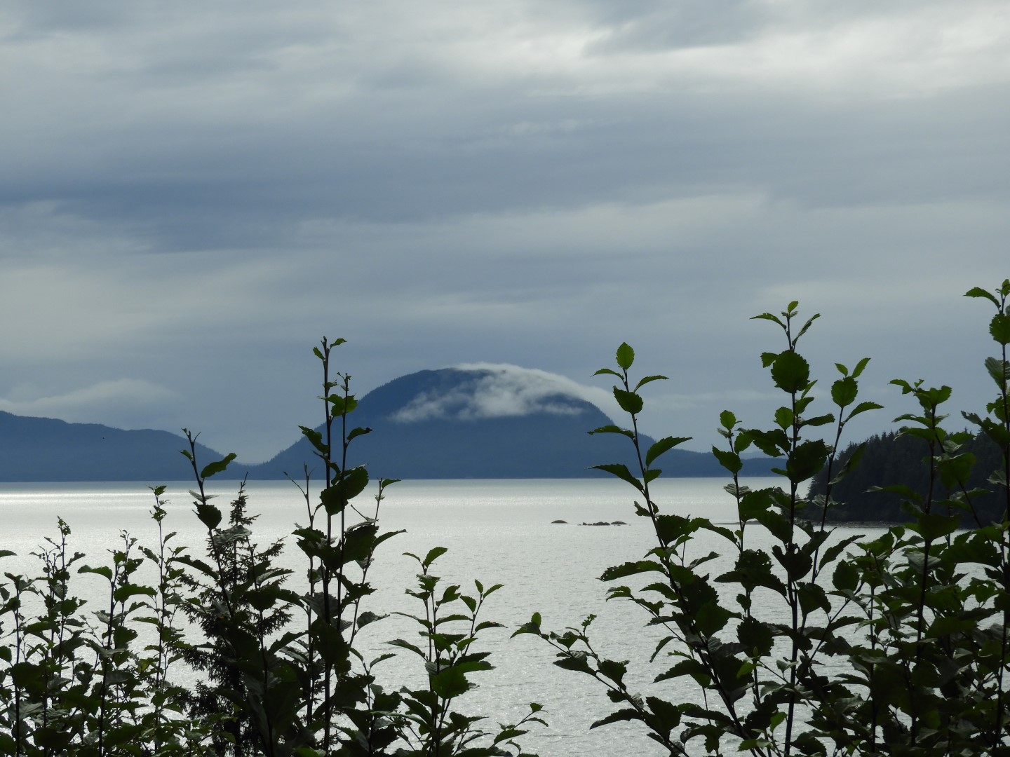 Eagle Beach in Juneau AK  3 of 24 (#1453)