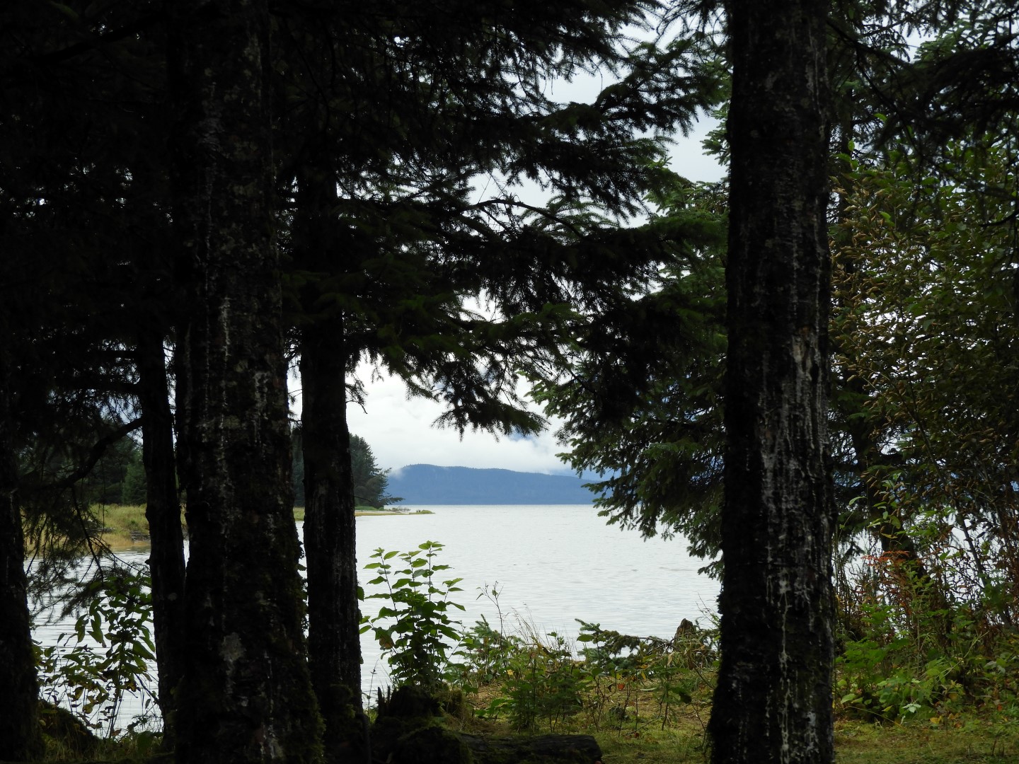 Eagle Beach in Juneau AK  5 of 24 (#1455)