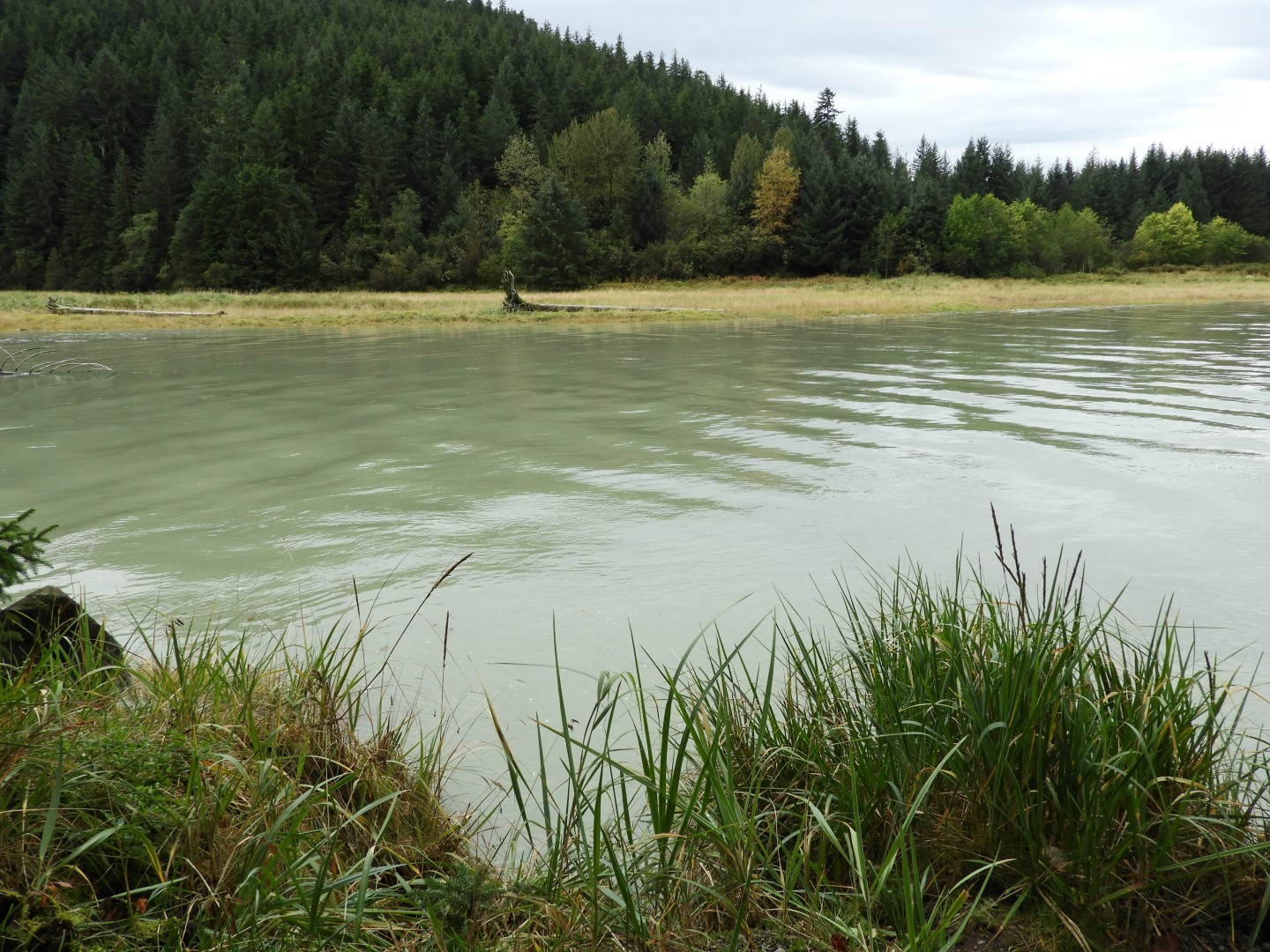 Eagle Beach in Juneau AK  6 of 24 (#1456)