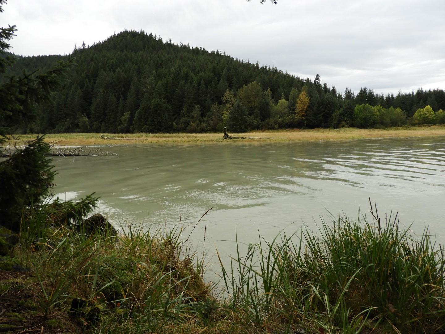 Eagle Beach in Juneau AK  7 of 24 (#1457)