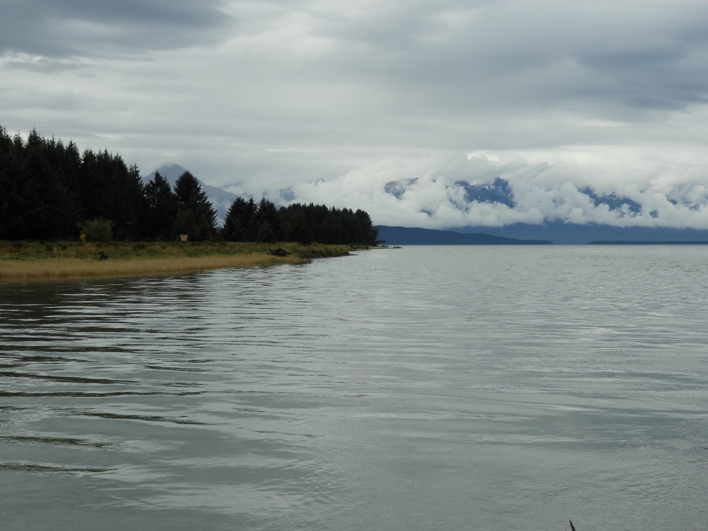 Eagle Beach in Juneau AK  9 of 24 (#1459)