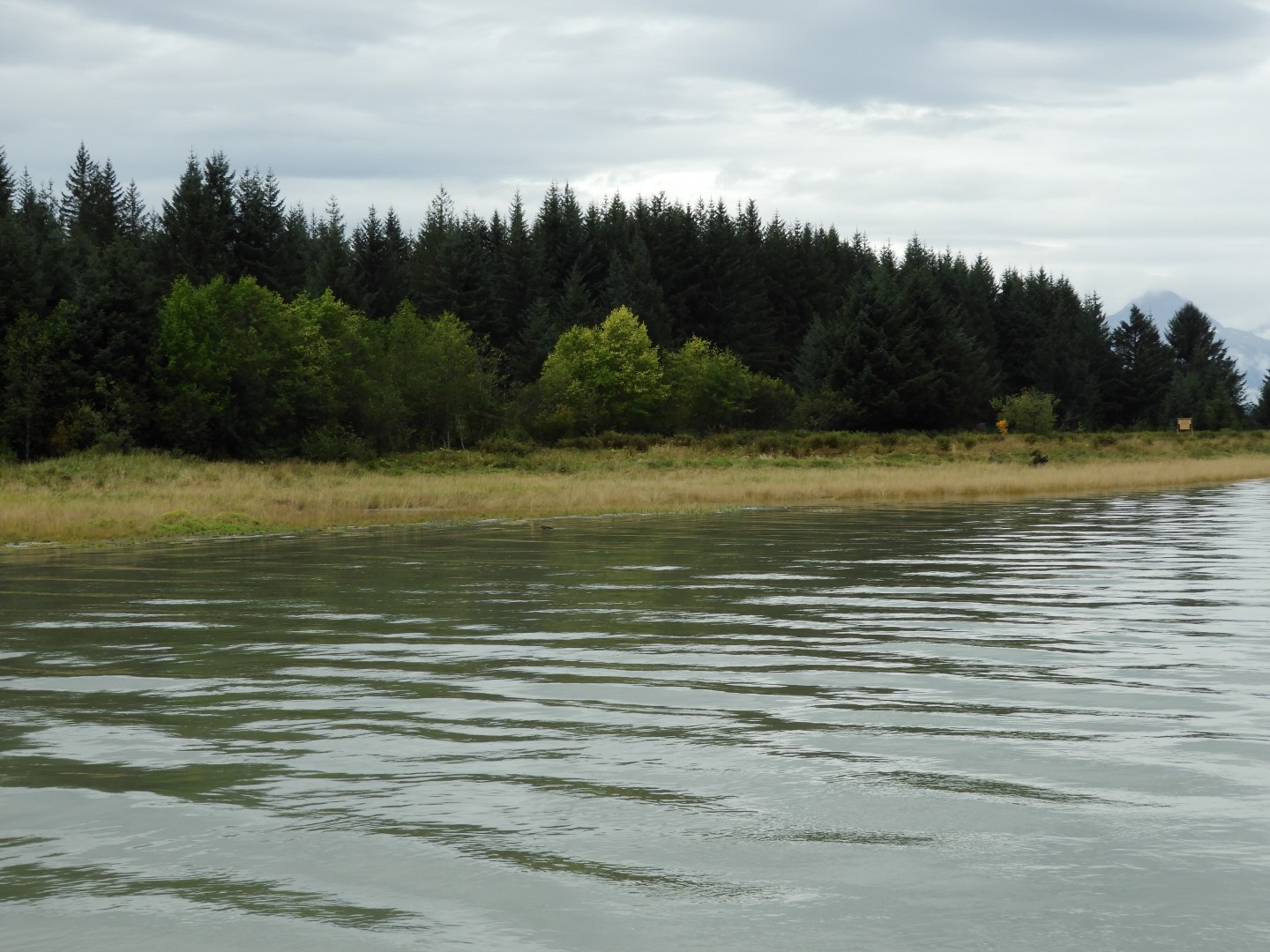 Eagle Beach in Juneau AK 10 of 24 (#1460)