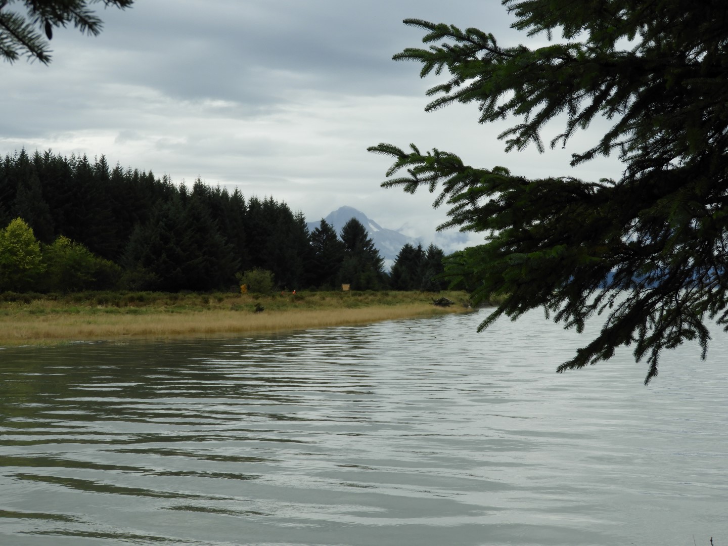 Eagle Beach in Juneau AK 16 of 24 (#1466)
