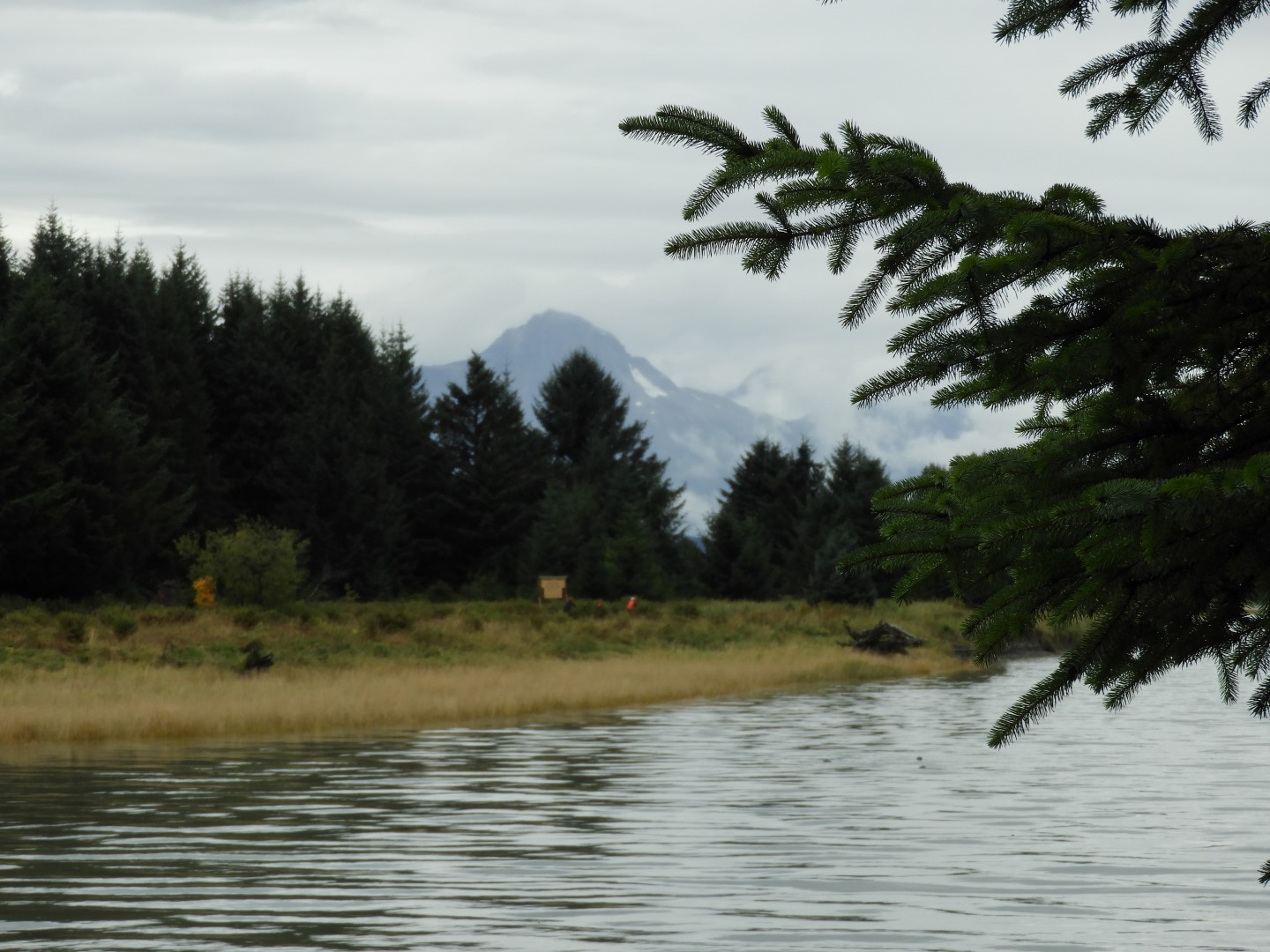 Eagle Beach in Juneau AK 17 of 24 (#1467)