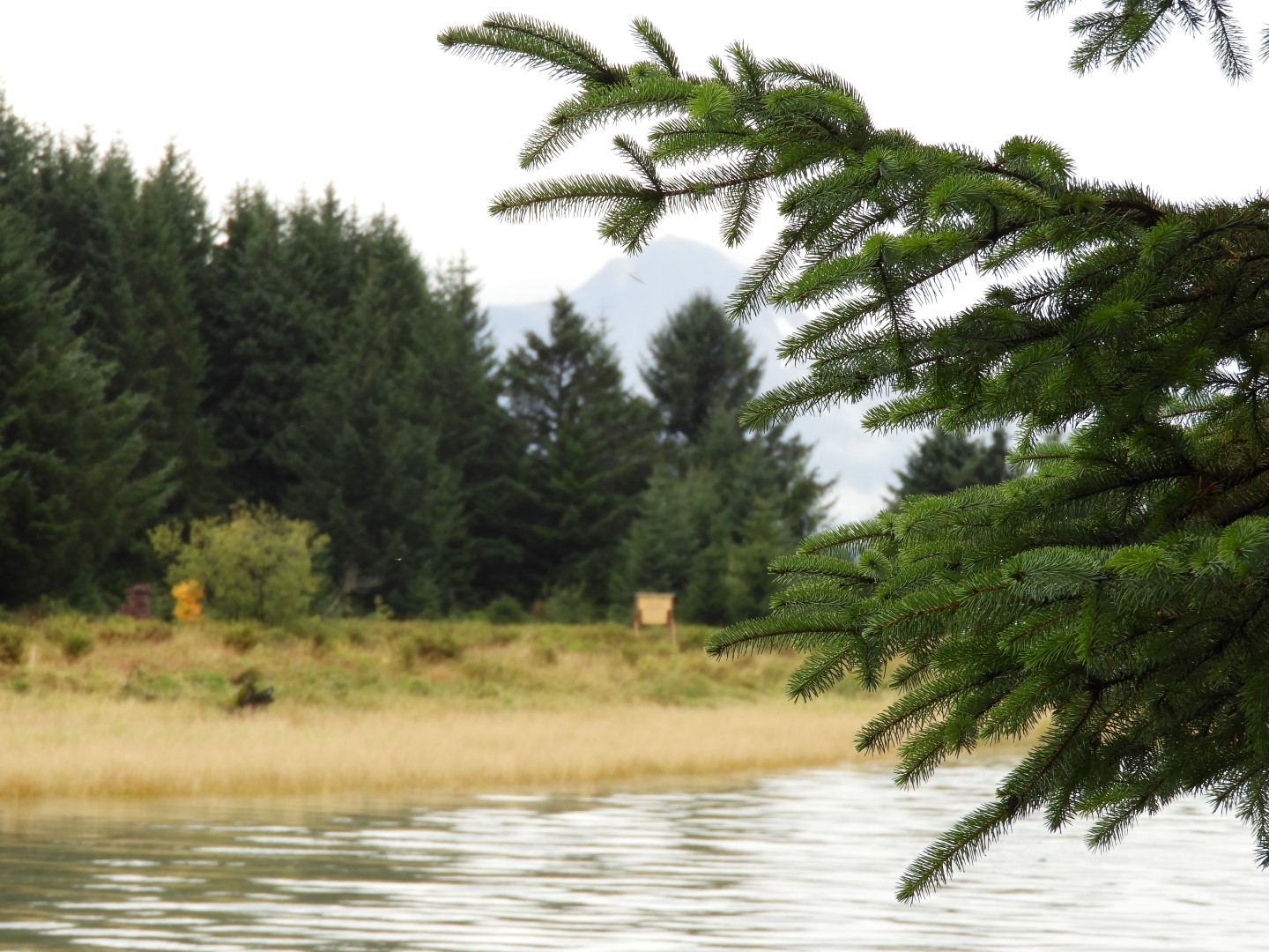 Eagle Beach in Juneau AK 19 of 24 (#1469)