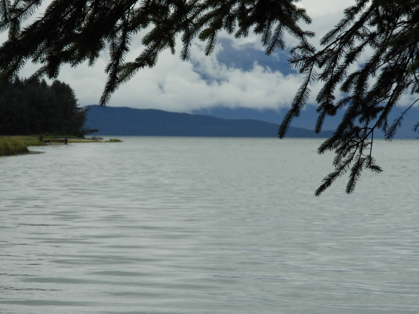 Eagle Beach in Juneau AK 20 of 24 (#1470)