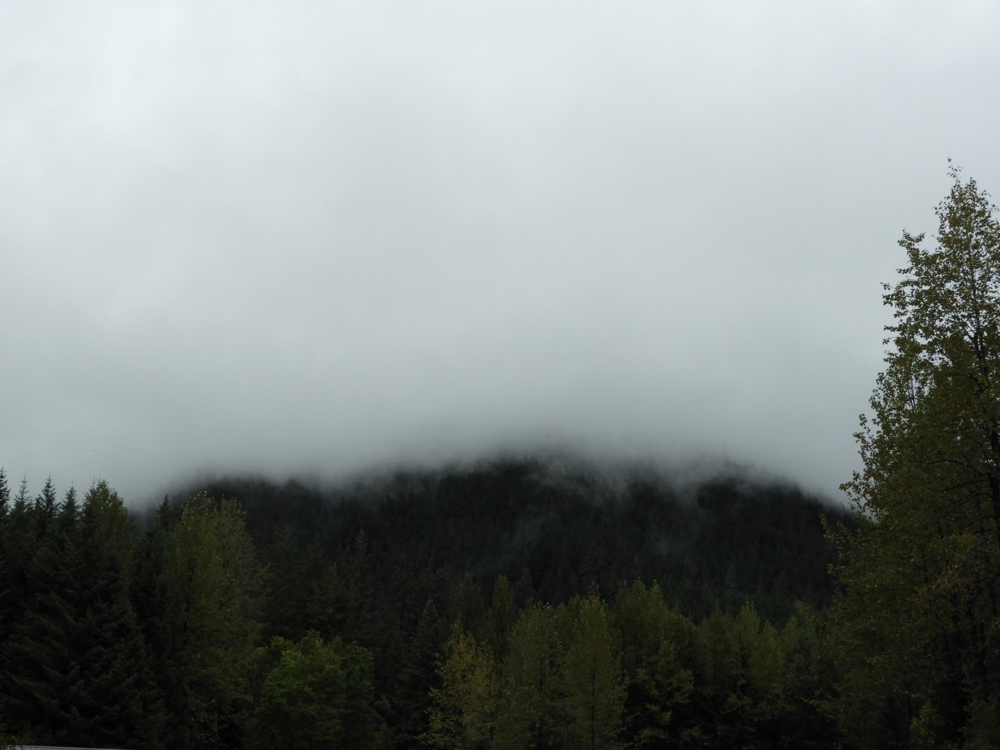 Eagle Beach in Juneau AK 23 of 24 (#1473)