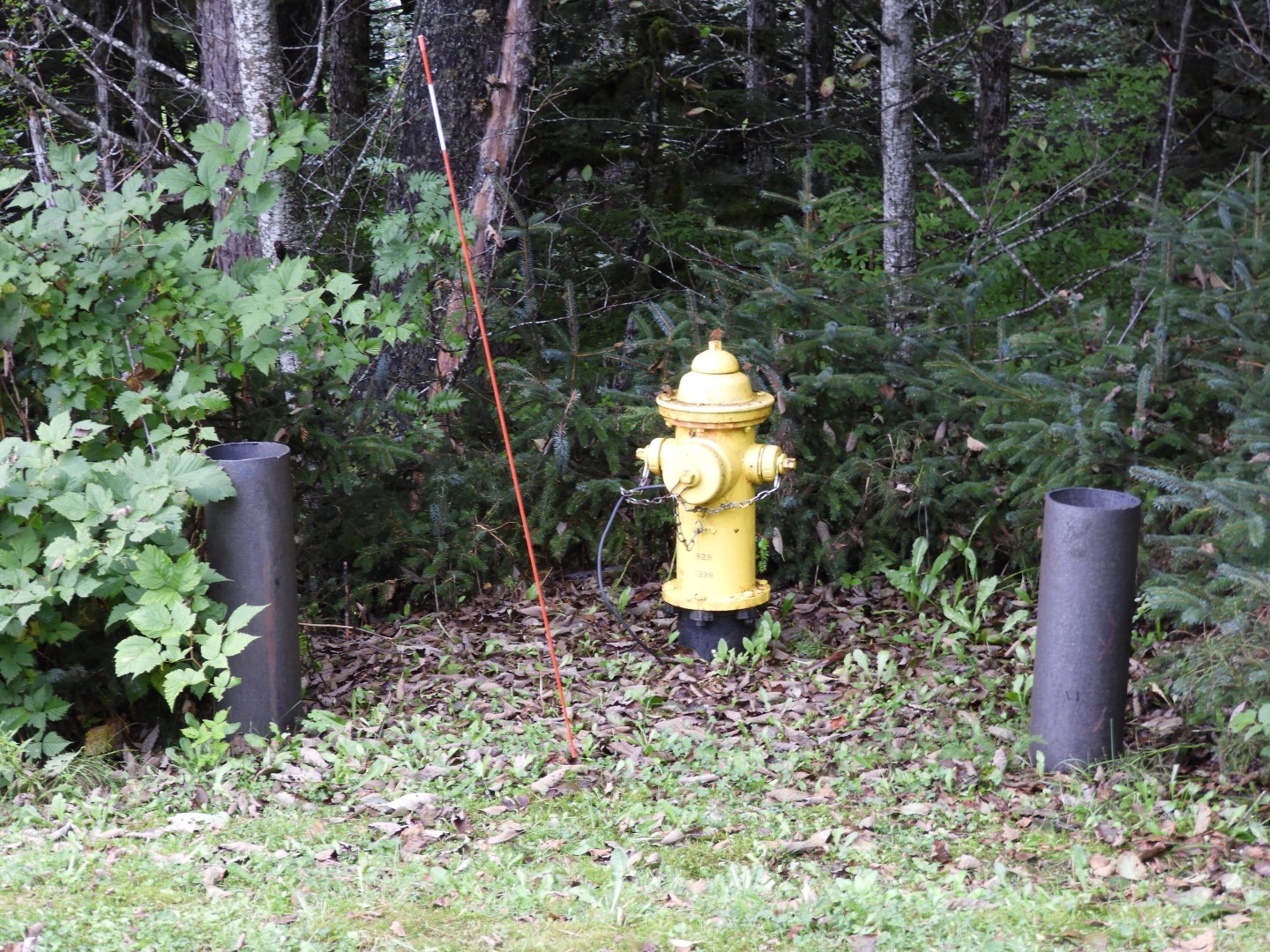 Scenery at the Shrine of St. Therese in Juneau AK  2 of 12 (#1476)