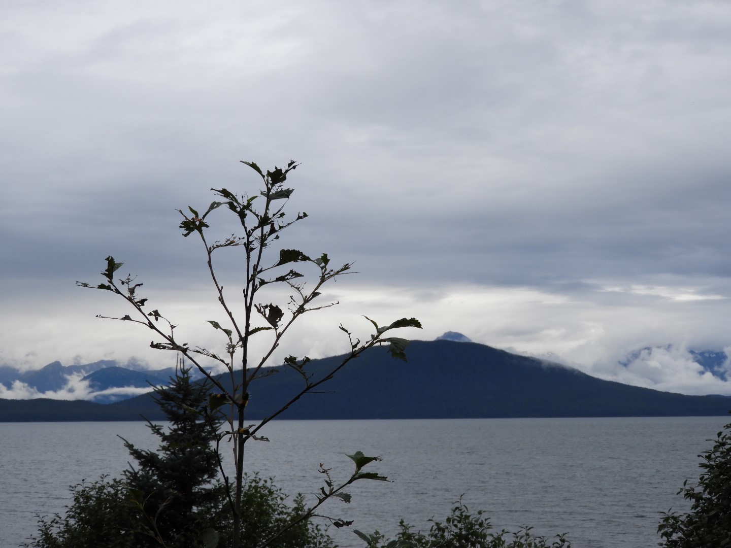 Scenery at the Shrine of St. Therese in Juneau AK  7 of 12 (#1481)