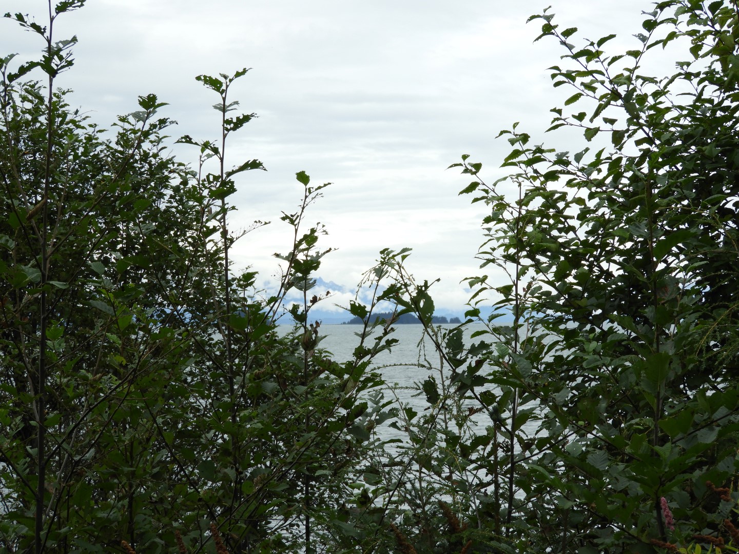 Scenery at the Shrine of St. Therese in Juneau AK  9 of 12 (#1483)