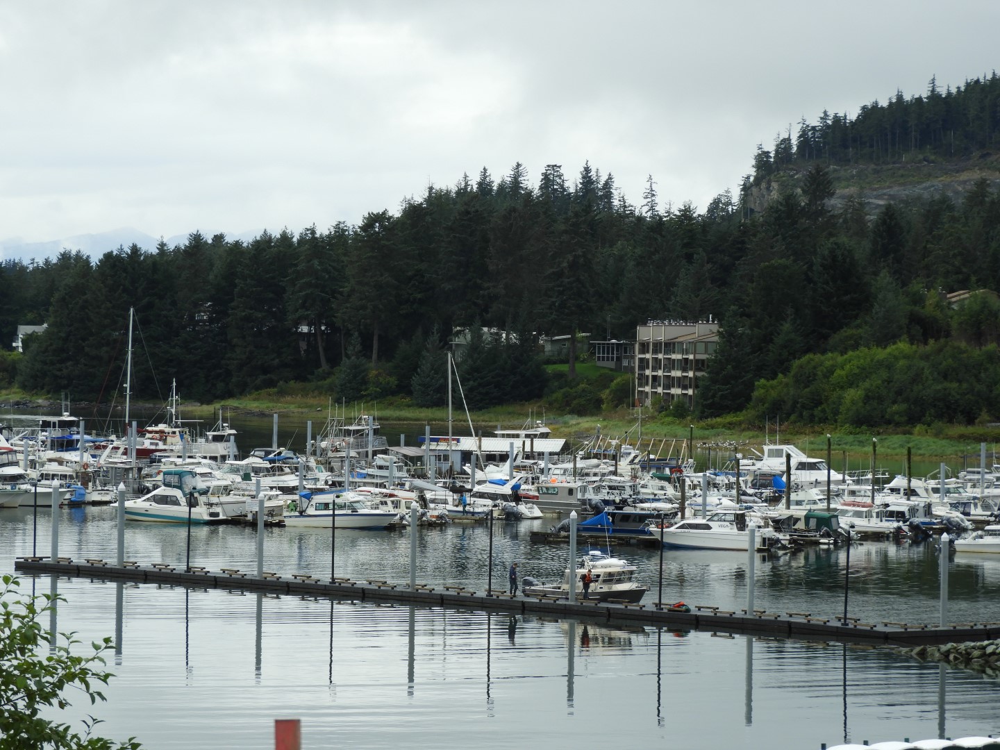 Scenes along Glacier Highway near Mendenhall Mall in Juneau AK  2 of  3 (#1503)