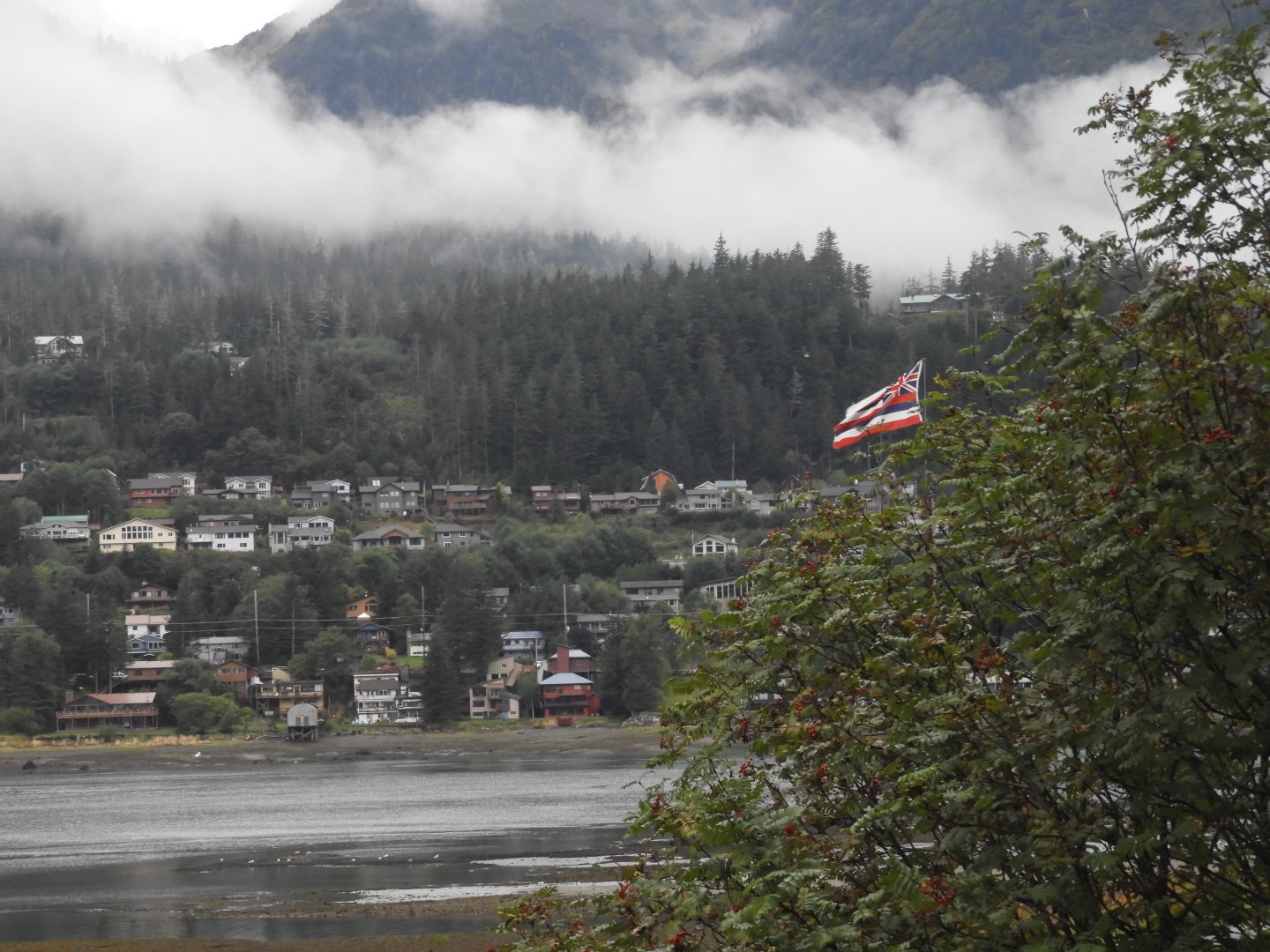 Scenes from Prospector Hotel room window in Juneau AK  4 of 13 (#1308)