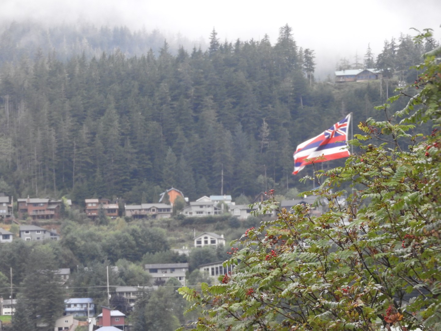 Scenes from Prospector Hotel room window in Juneau AK  5 of 13 (#1309)