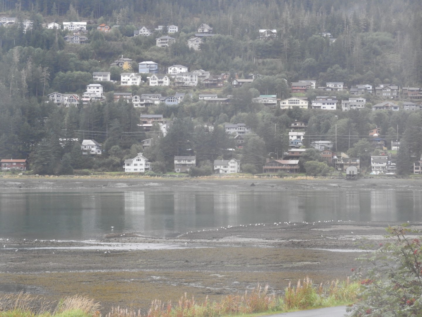 Scenes from Prospector Hotel room window in Juneau AK 11 of 13 (#1316)