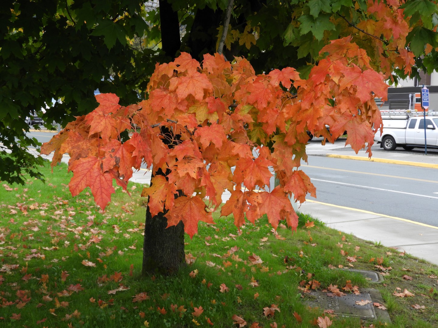 Scenes from Prospector Hotel room window in Juneau AK  5 of  8 (#1324)
