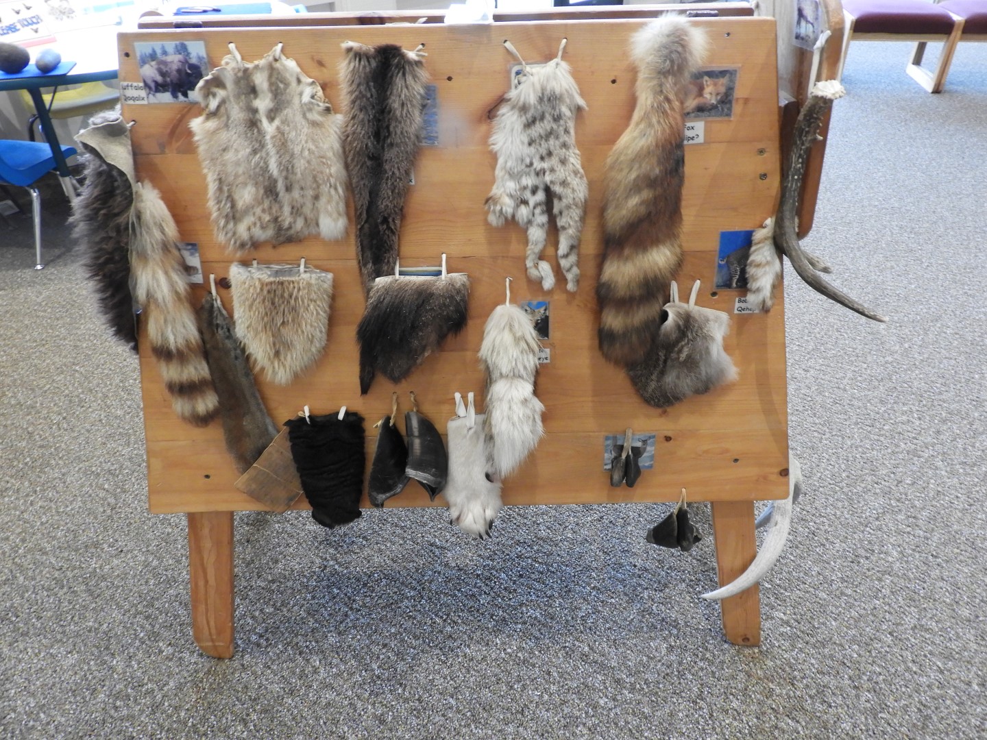 Nez_Perce National Park Facility in north central Idaho  5 of 19 (#1546)