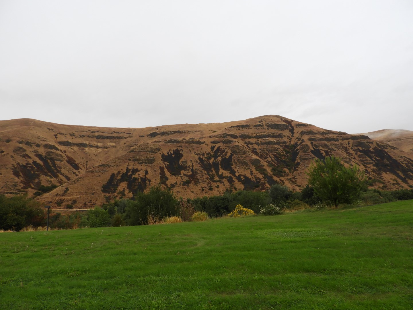 Area near Nez_Perce National Park Facility in north central Idaho  1 of  4 (#1561)