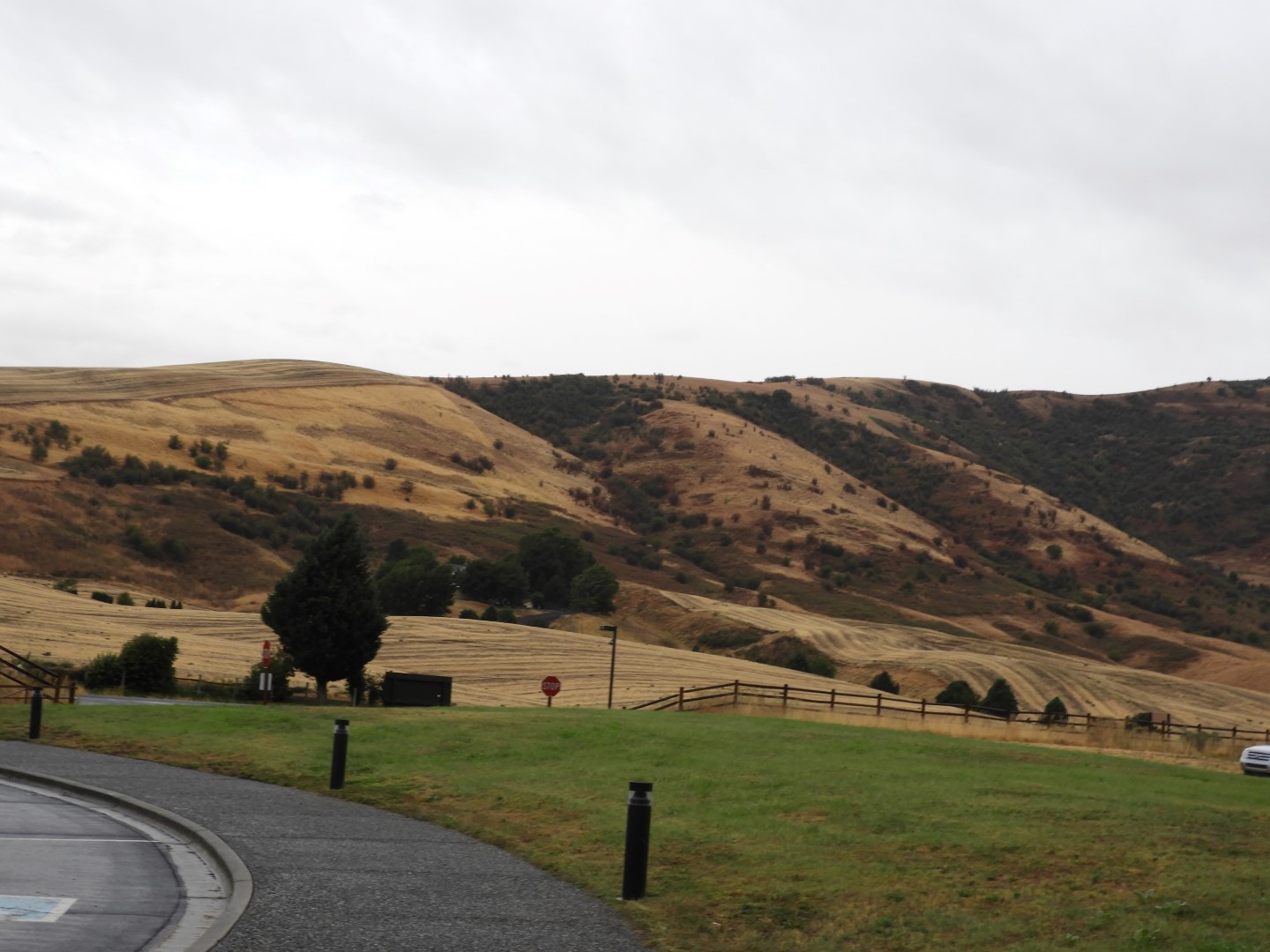 Area near Nez_Perce National Park Facility in north central Idaho  4 of  4 (#1564)