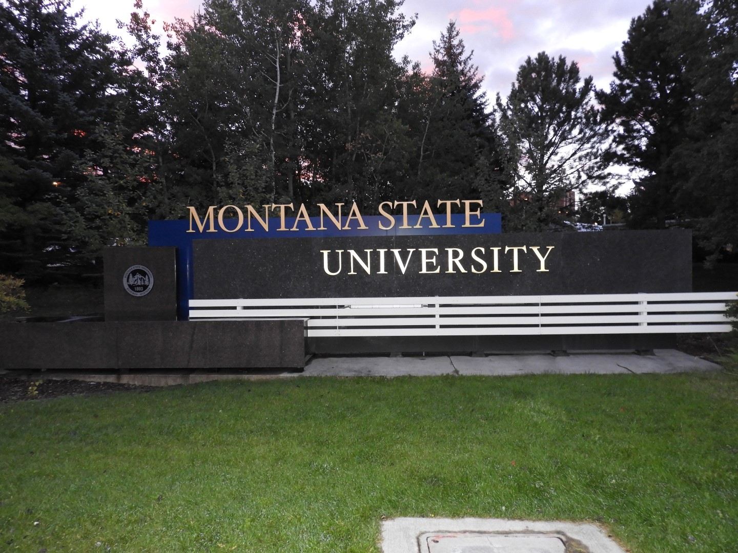 Montana State University in Bozeman MT  2 of  2 (#1611)
