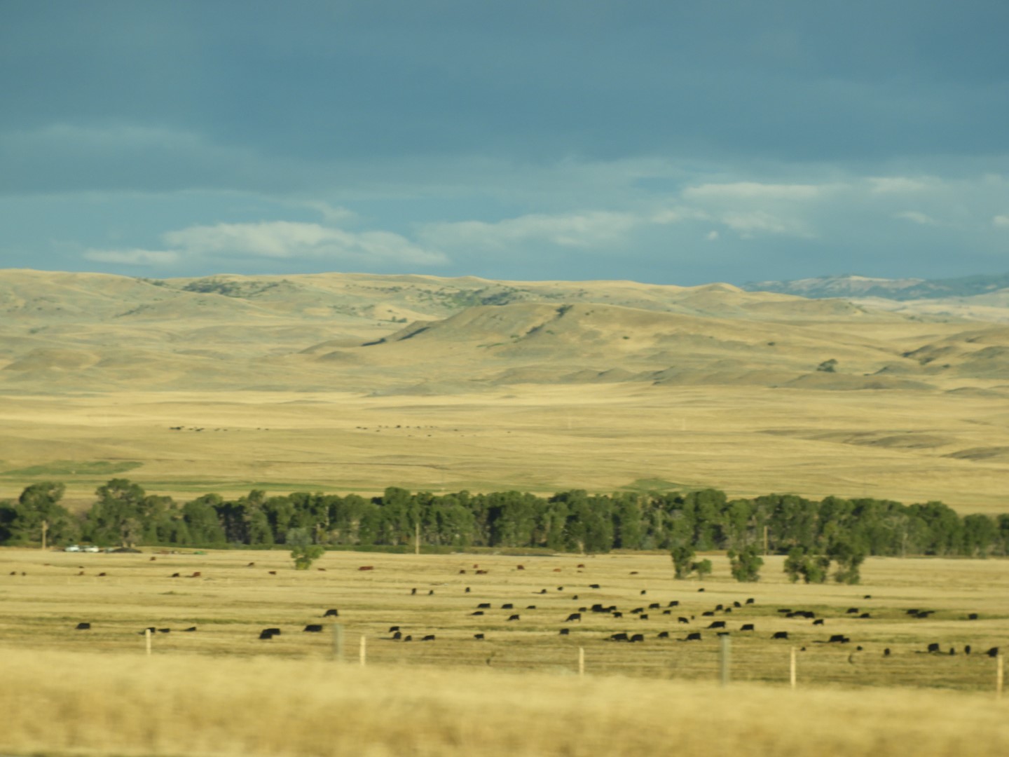 Along the highway southeast of Bozeman MT  5 of  5 (#1616)
