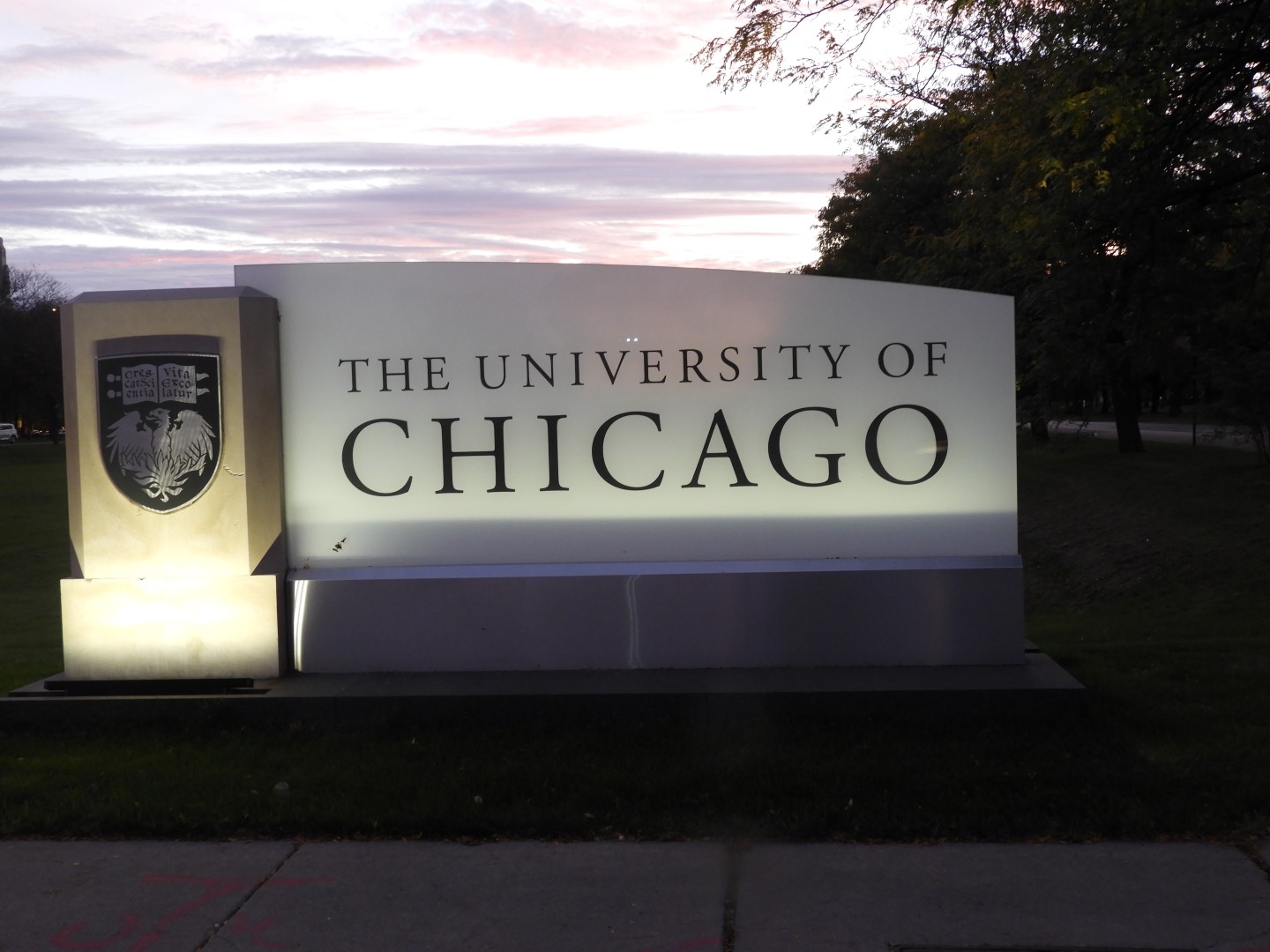 University of Chicago in Chicago  1 of  3 (#2204)