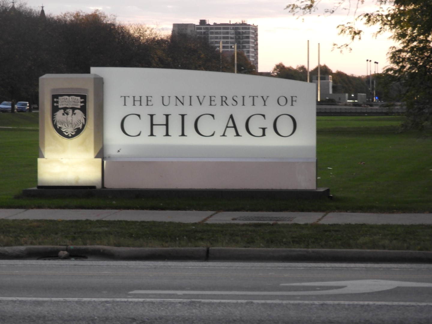 University of Chicago in Chicago  3 of  3 (#2206)