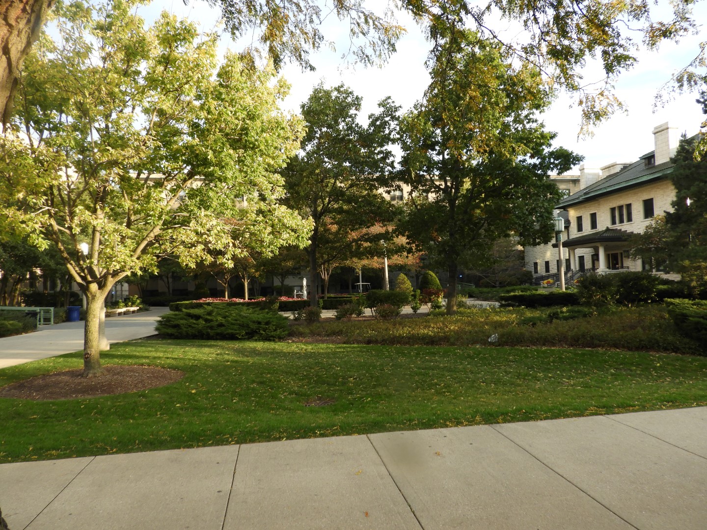 Loyola University in Chicago  3 of  3 (#2211)