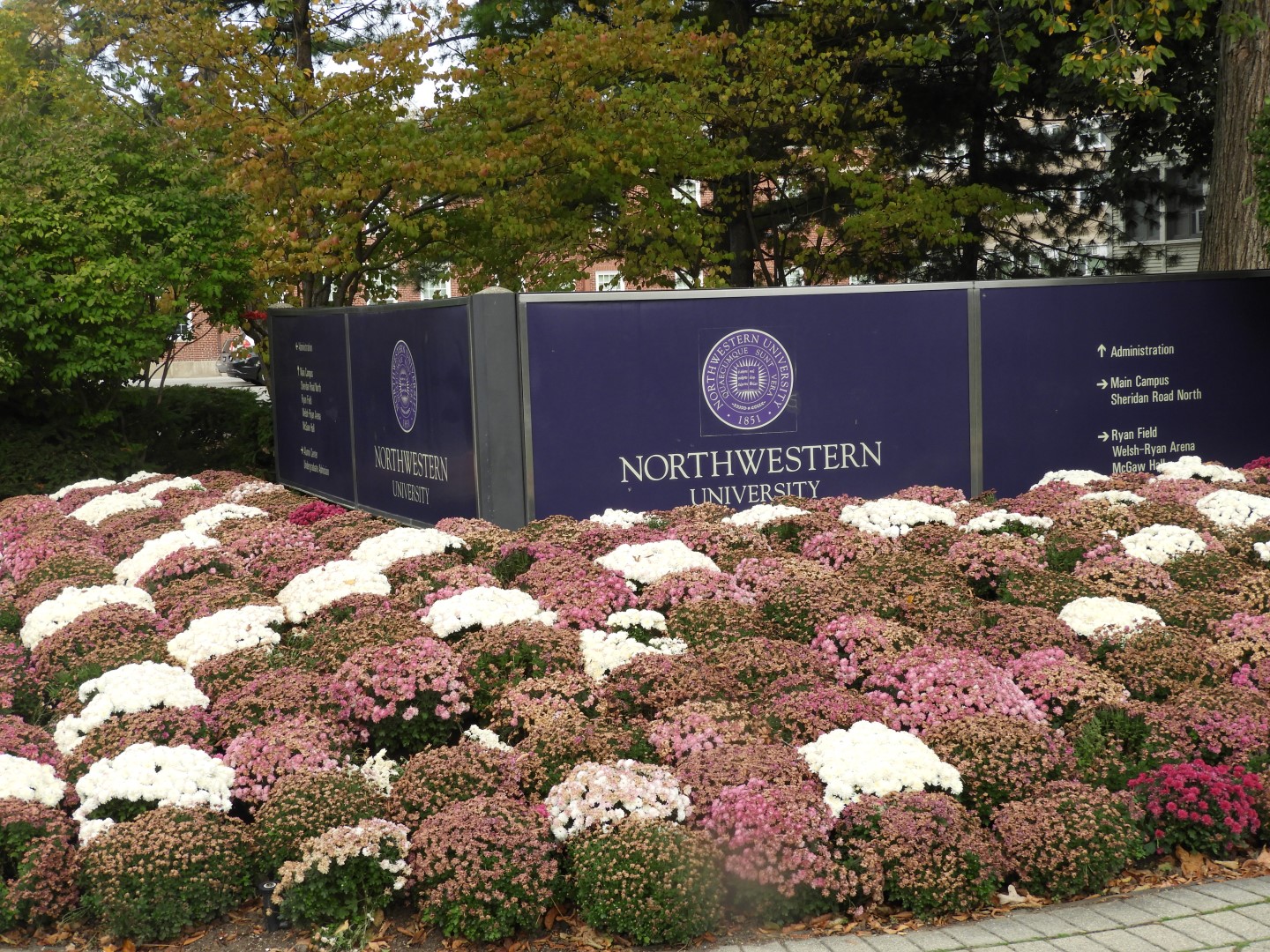 Northwestern University in Evanston  2 of  3 (#2214)