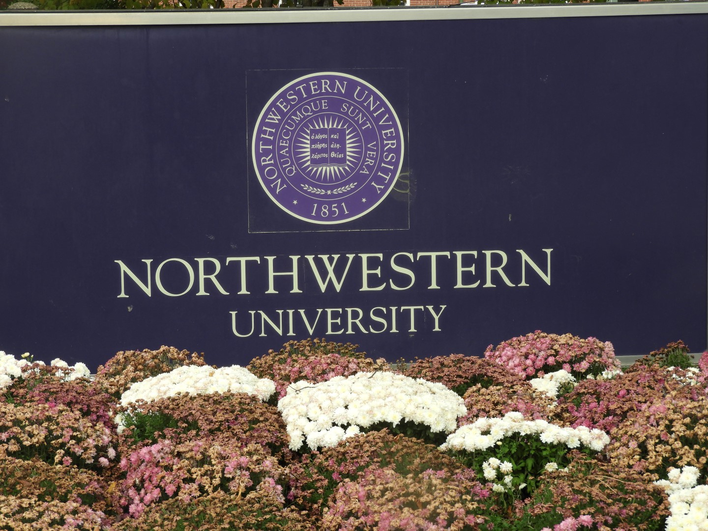 Northwestern University in Evanston  1 of  3 (#2215)