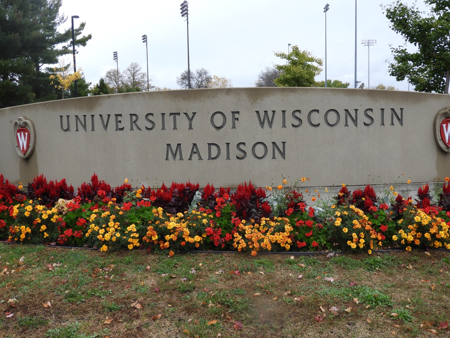 University of Wisconsin in Madison  1 of  2 (#2218)