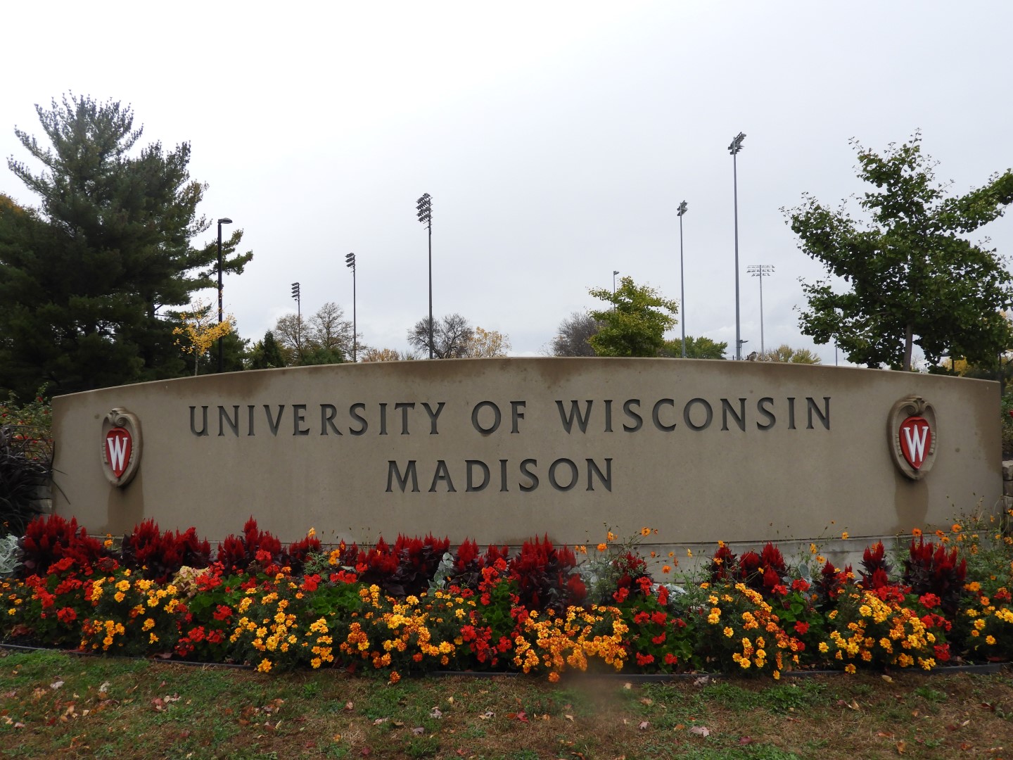 University of Wisconsin in Madison  1 of  2 (#2219)