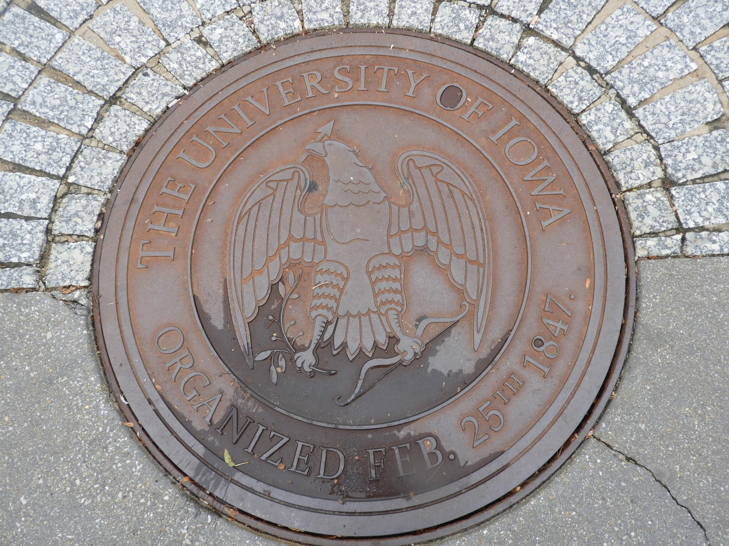 University of Iowa in Iowa City  2 of  4 (#2226)