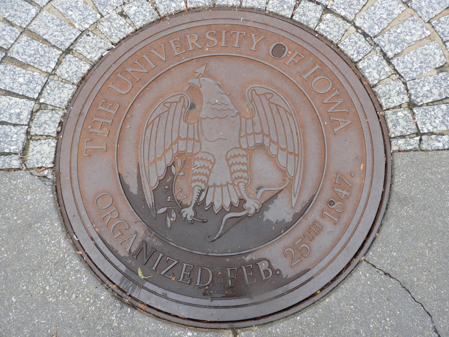 University of Iowa in Iowa City  1 of  4 (#2227)