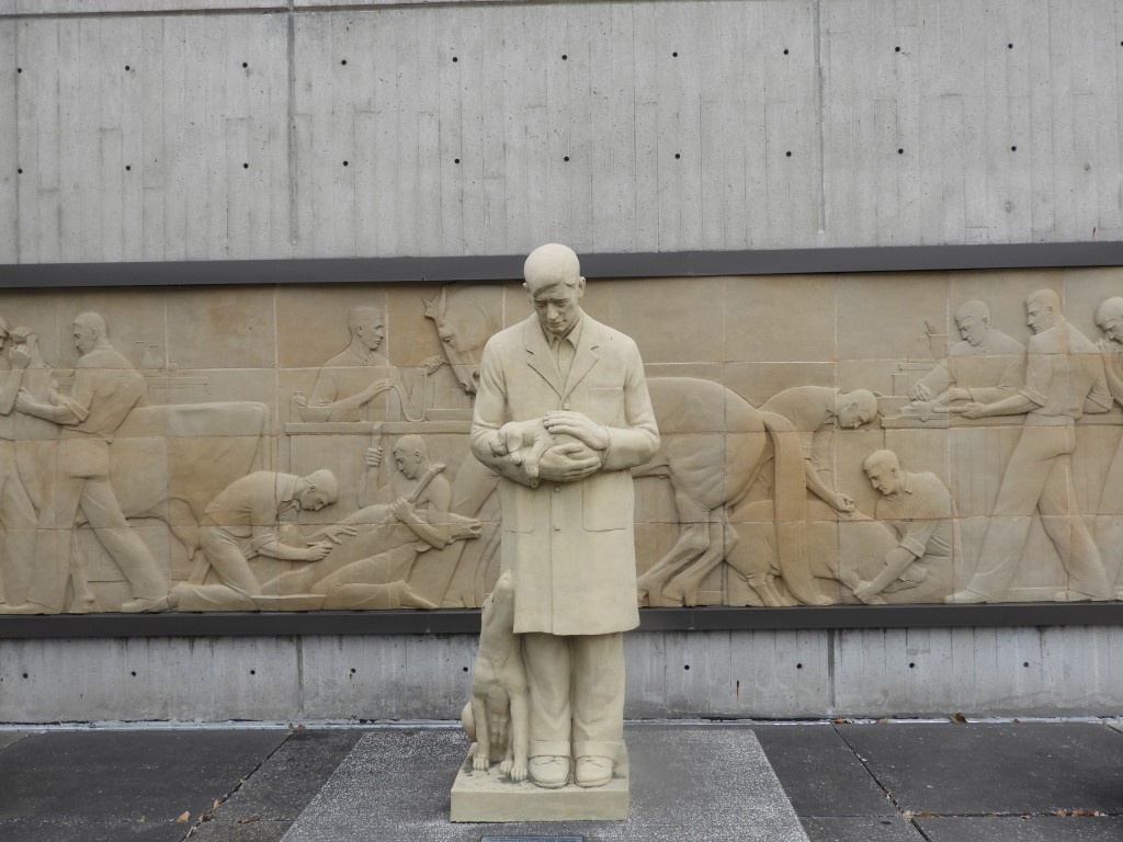 The Gentle Doctor (DVM) at Iowa State University in Ames  1 of  3 (#2243)