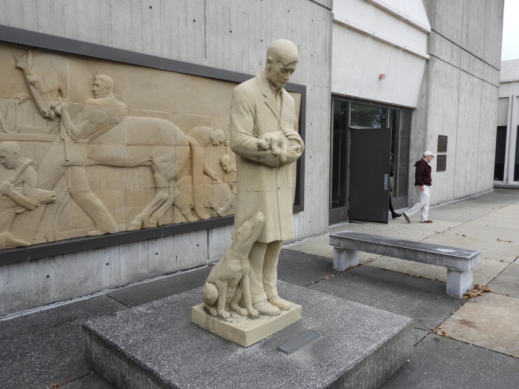 The Gentle Doctor (DVM) at Iowa State University in Ames  3 of  3 (#2245)