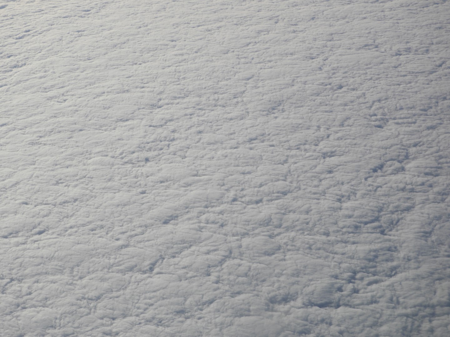 Above the Clouds over Dallas  2 of  3 (#2250)