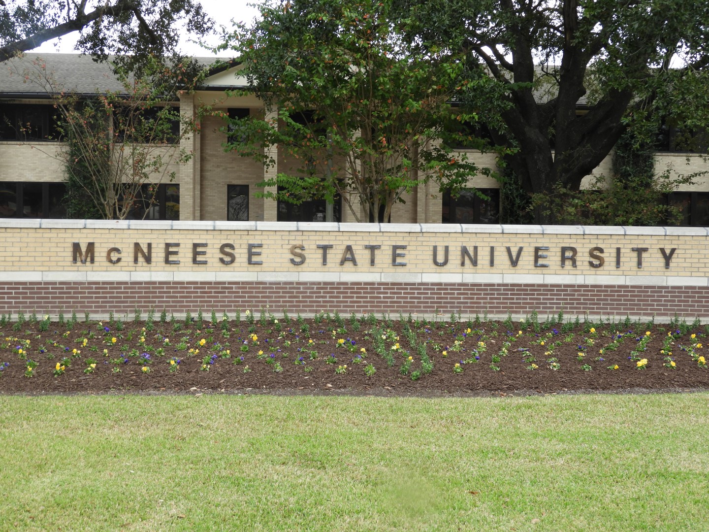 McNeese State University in Lake Charles  1 of  2 (#2290)
