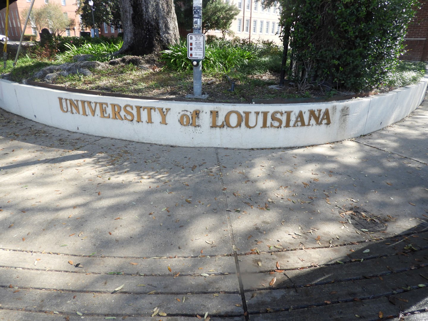 Louisiana University Lafayette  2 of  3 (#2293)