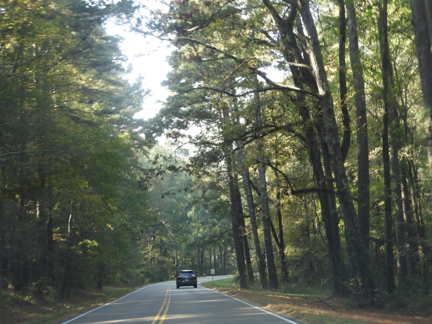 Natchez Trace Parkway National Park north of Jackson MS  2 of 19 (#2329)