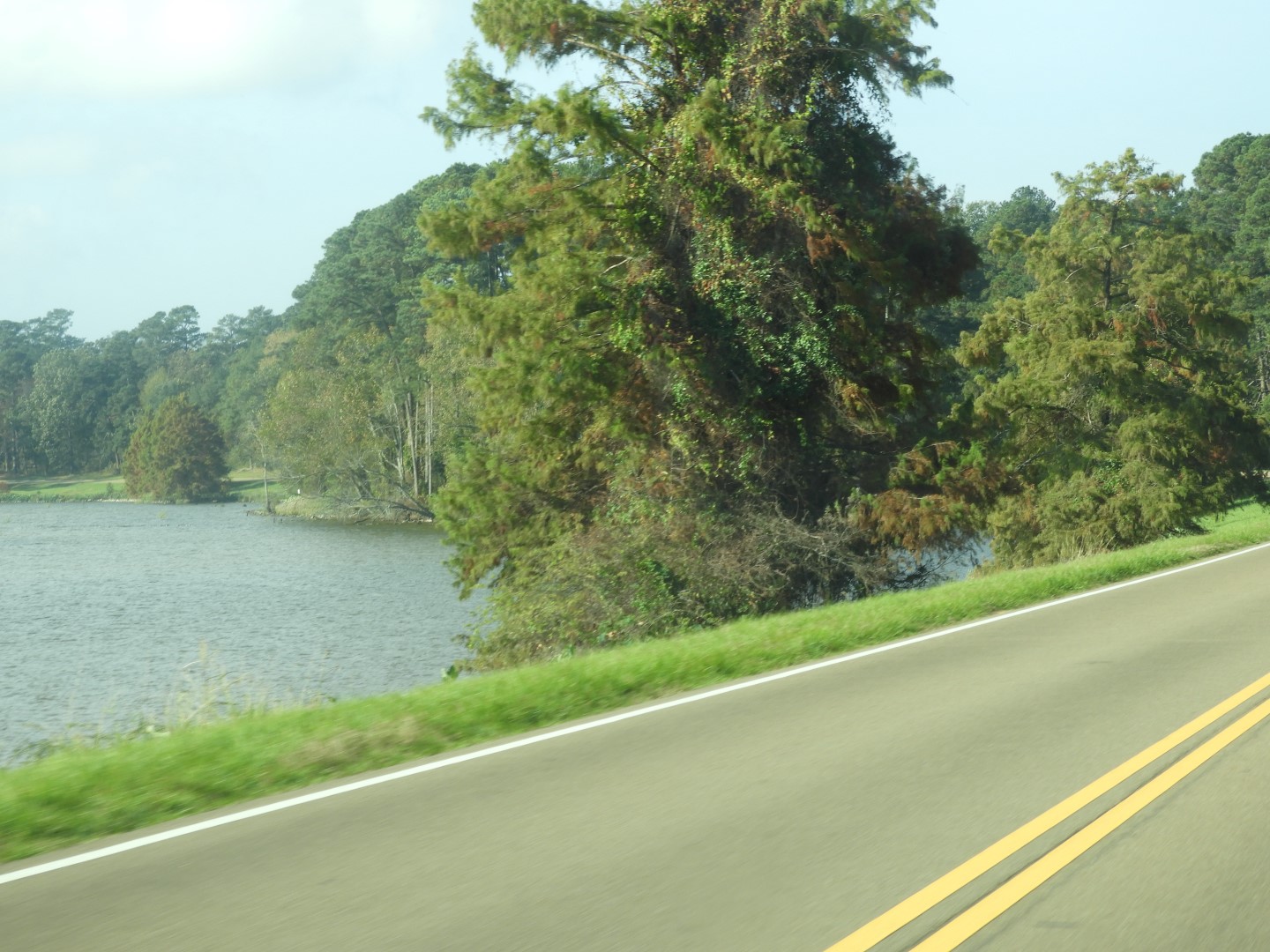 Natchez Trace Parkway National Park north of Jackson MS  3 of 19 (#2330)