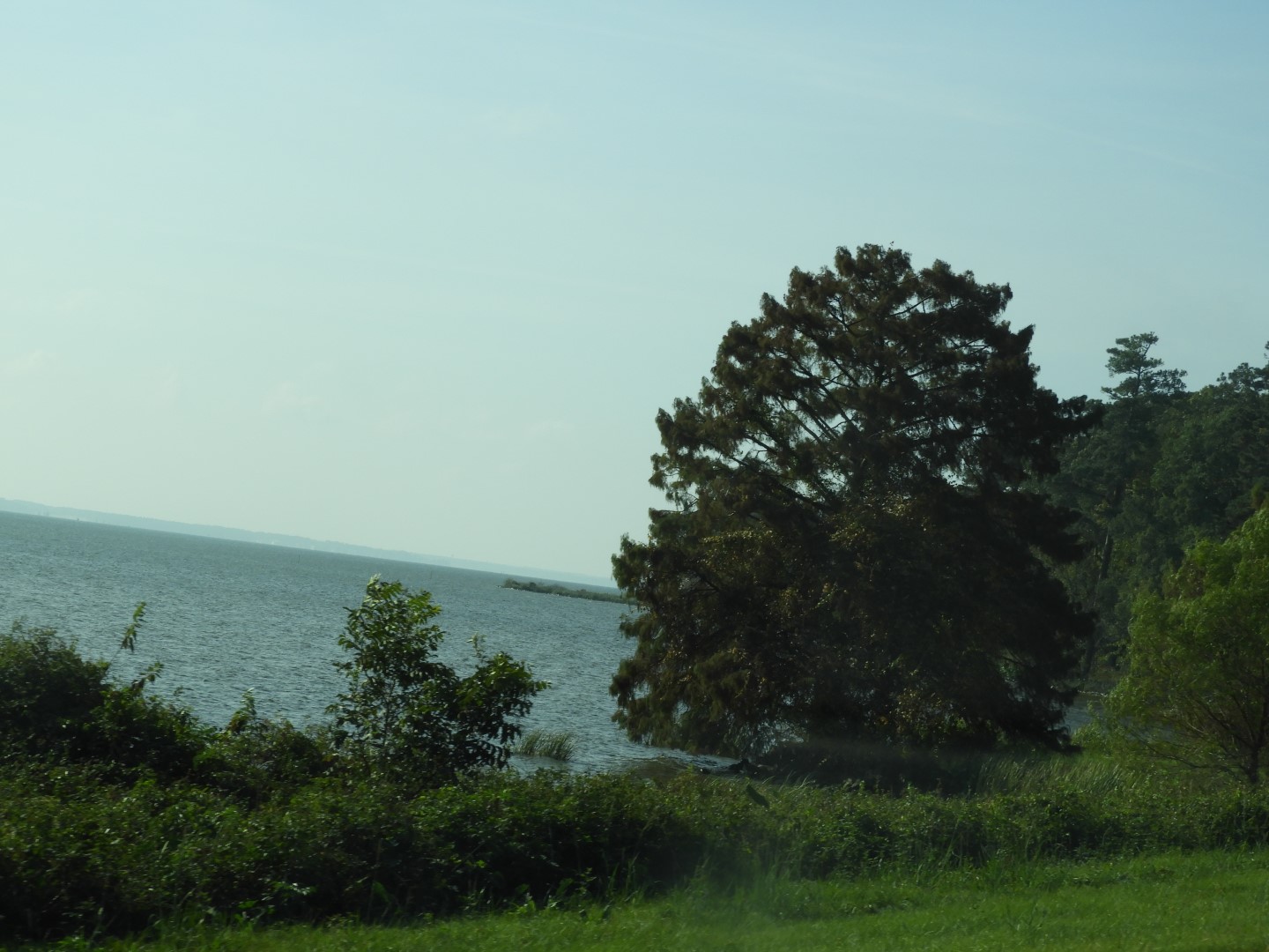 Natchez Trace Parkway National Park north of Jackson MS  4 of 19 (#2331)