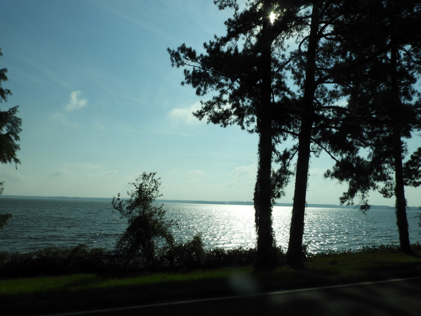 Natchez Trace Parkway National Park north of Jackson MS  6 of 19 (#2333)