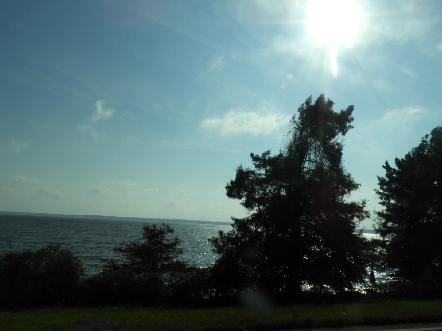 Natchez Trace Parkway National Park north of Jackson MS  7 of 19 (#2334)