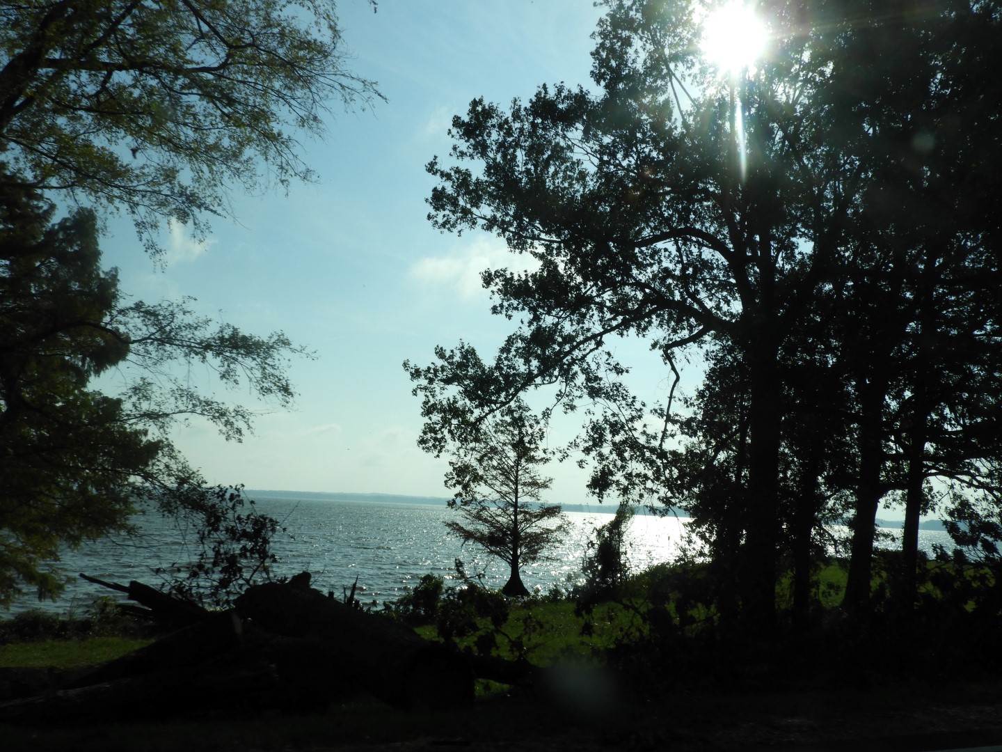 Natchez Trace Parkway National Park north of Jackson MS  8 of 19 (#2335)