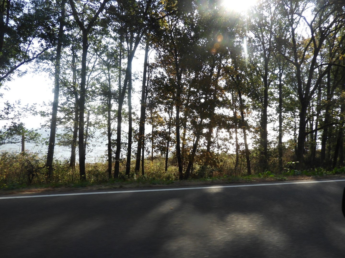 Natchez Trace Parkway National Park north of Jackson MS 14 of 19 (#2342)