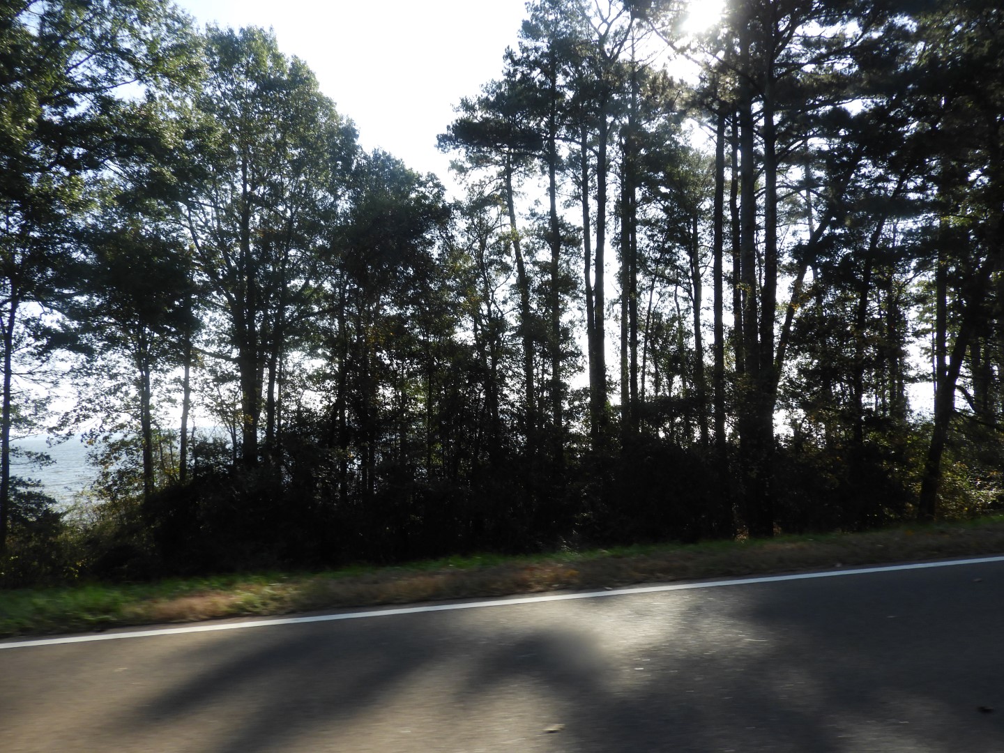 Natchez Trace Parkway National Park north of Jackson MS 15 of 19 (#2343)